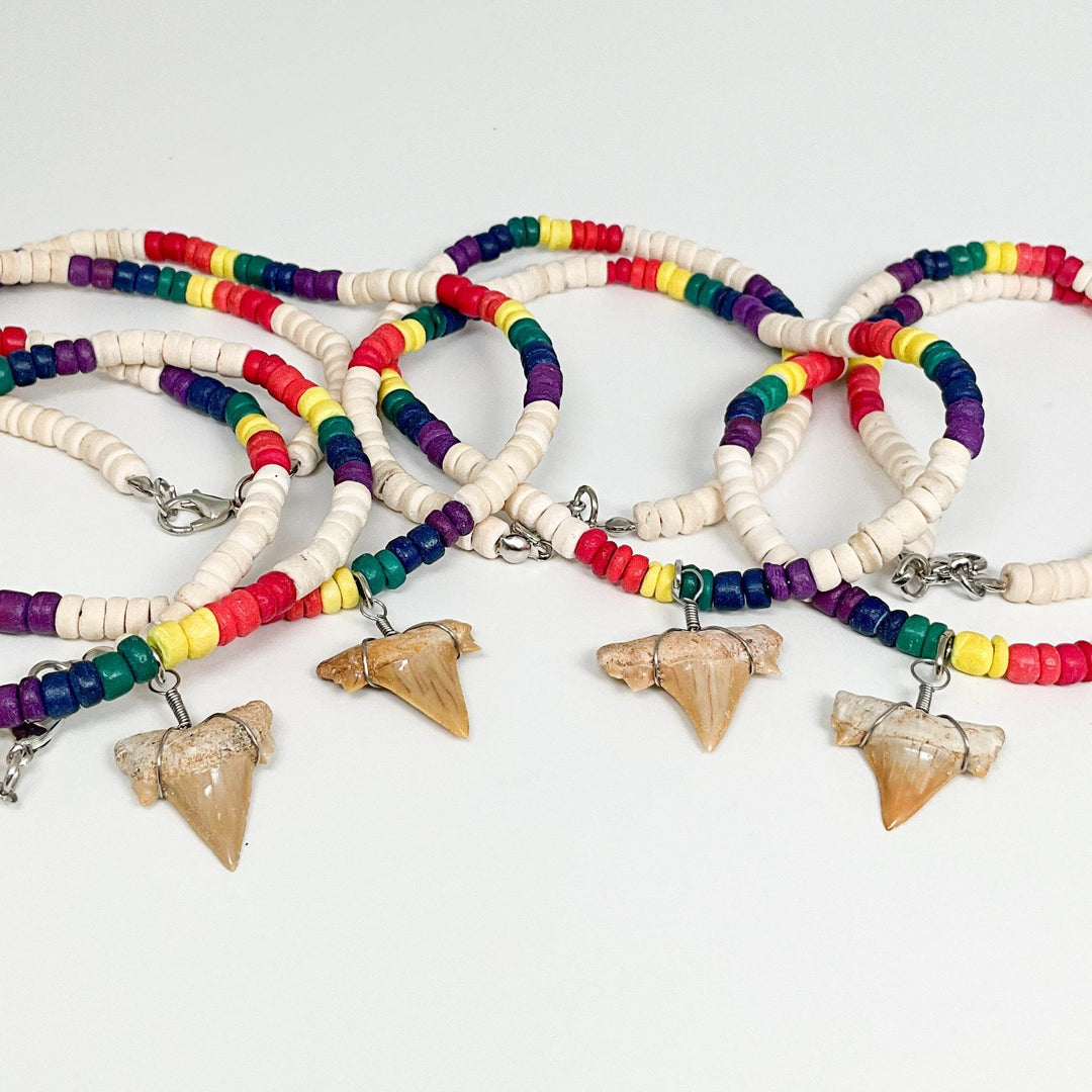 Fossilized Shark Tooth Necklace-Rocks and Gems Canada