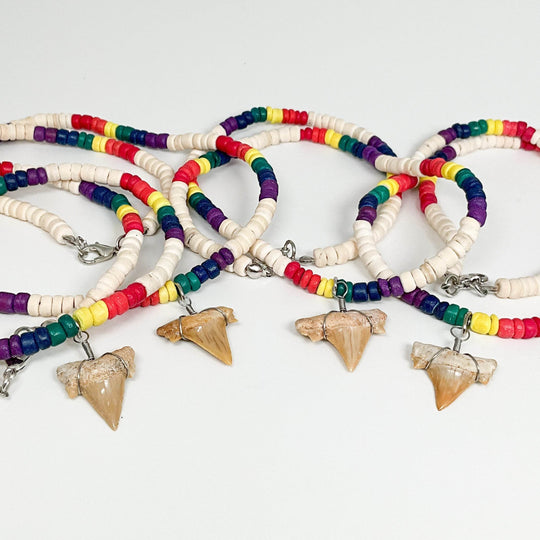 Fossilized Shark Tooth Necklace-Rocks and Gems Canada