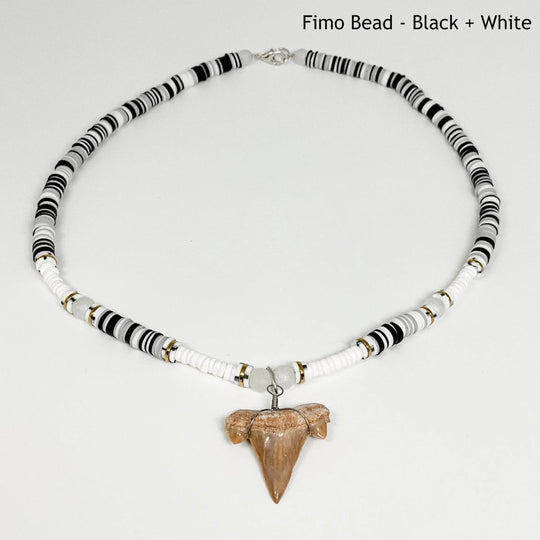 Fossilized Shark Tooth Necklace-Rocks and Gems Canada