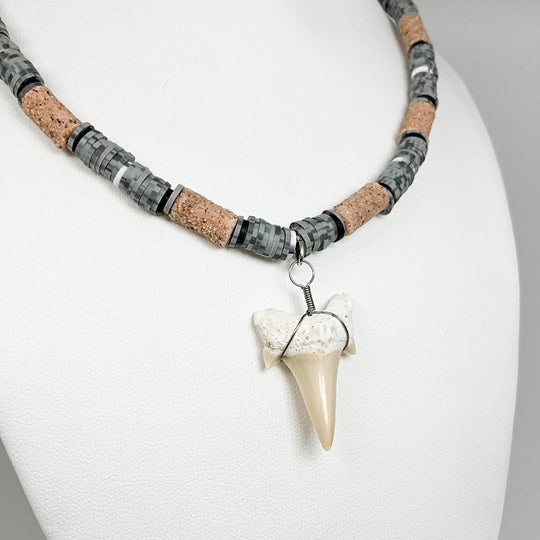 Fossilized Shark Tooth Necklace-Rocks and Gems Canada