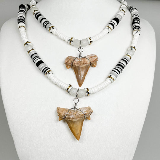 Fossilized Shark Tooth Necklace-Rocks and Gems Canada