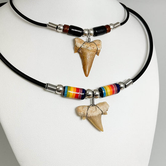 Fossilized Shark Tooth Necklace-Rocks and Gems Canada