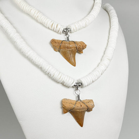 Fossilized Shark Tooth Necklace-Rocks and Gems Canada
