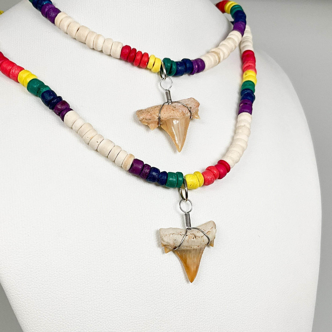 Fossilized Shark Tooth Necklace-Rocks and Gems Canada