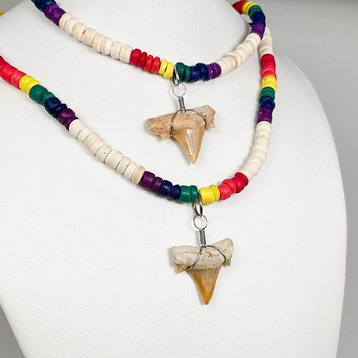 Fossilized Shark Tooth Necklace-Rocks and Gems Canada