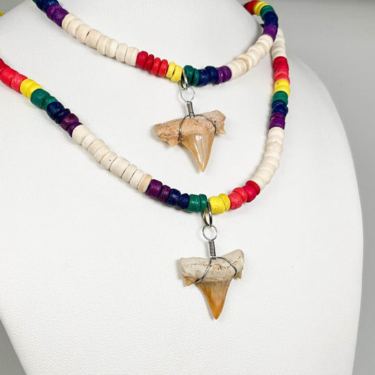 Fossilized Shark Tooth Necklace-Rocks and Gems Canada