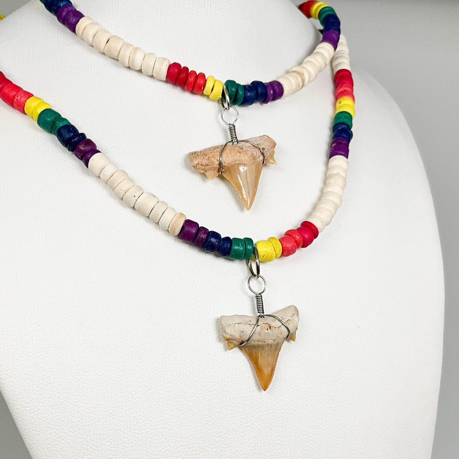 Fossilized Shark Tooth Necklace-Rocks and Gems Canada