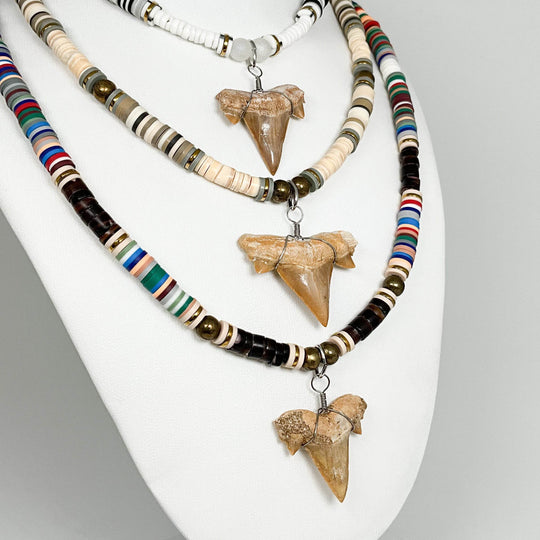 Fossilized Shark Tooth Necklace-Rocks and Gems Canada