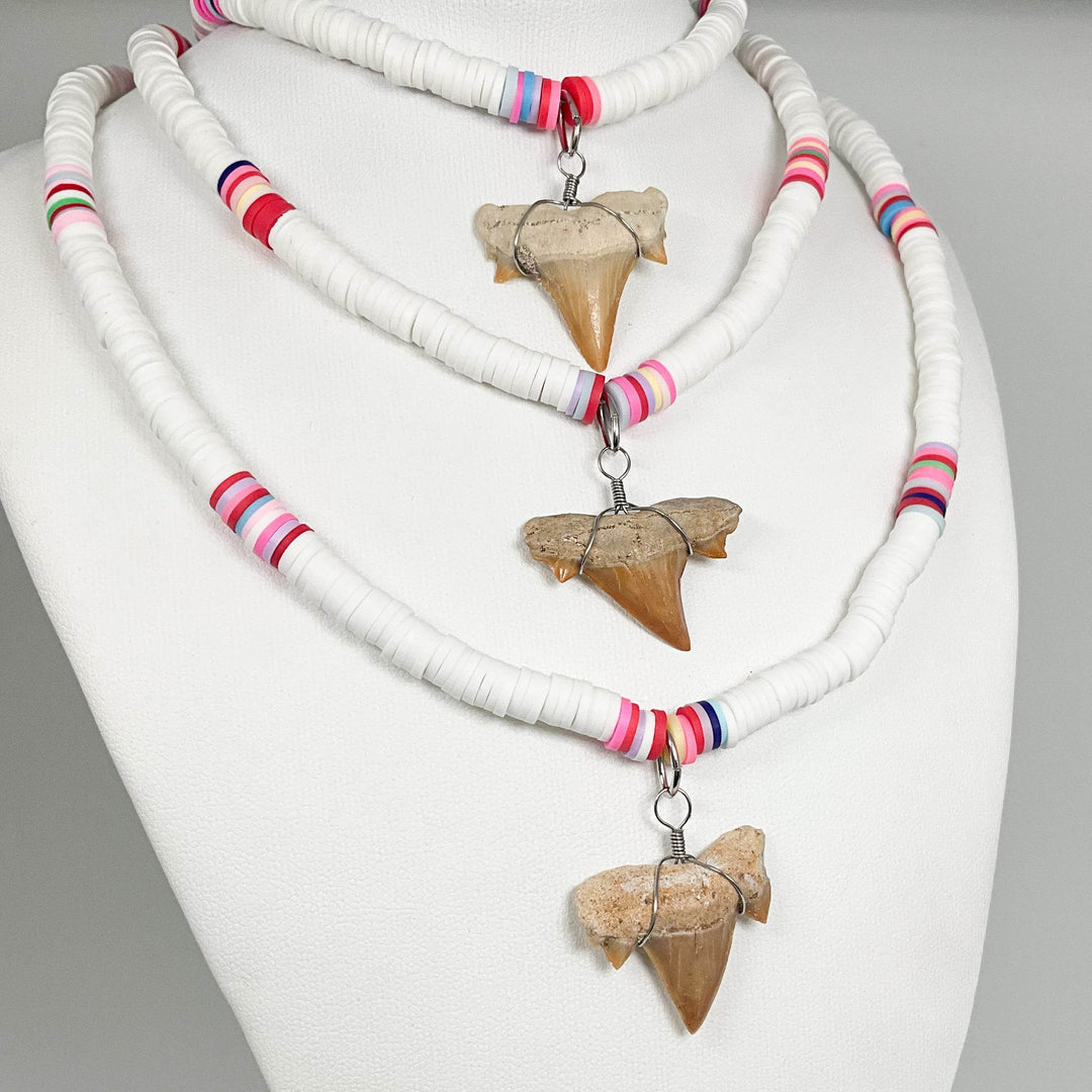 Fossilized Shark Tooth Necklace-Rocks and Gems Canada