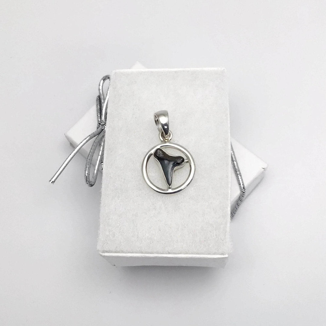 Fossilized Shark Tooth Pendant-Rocks and Gems Canada