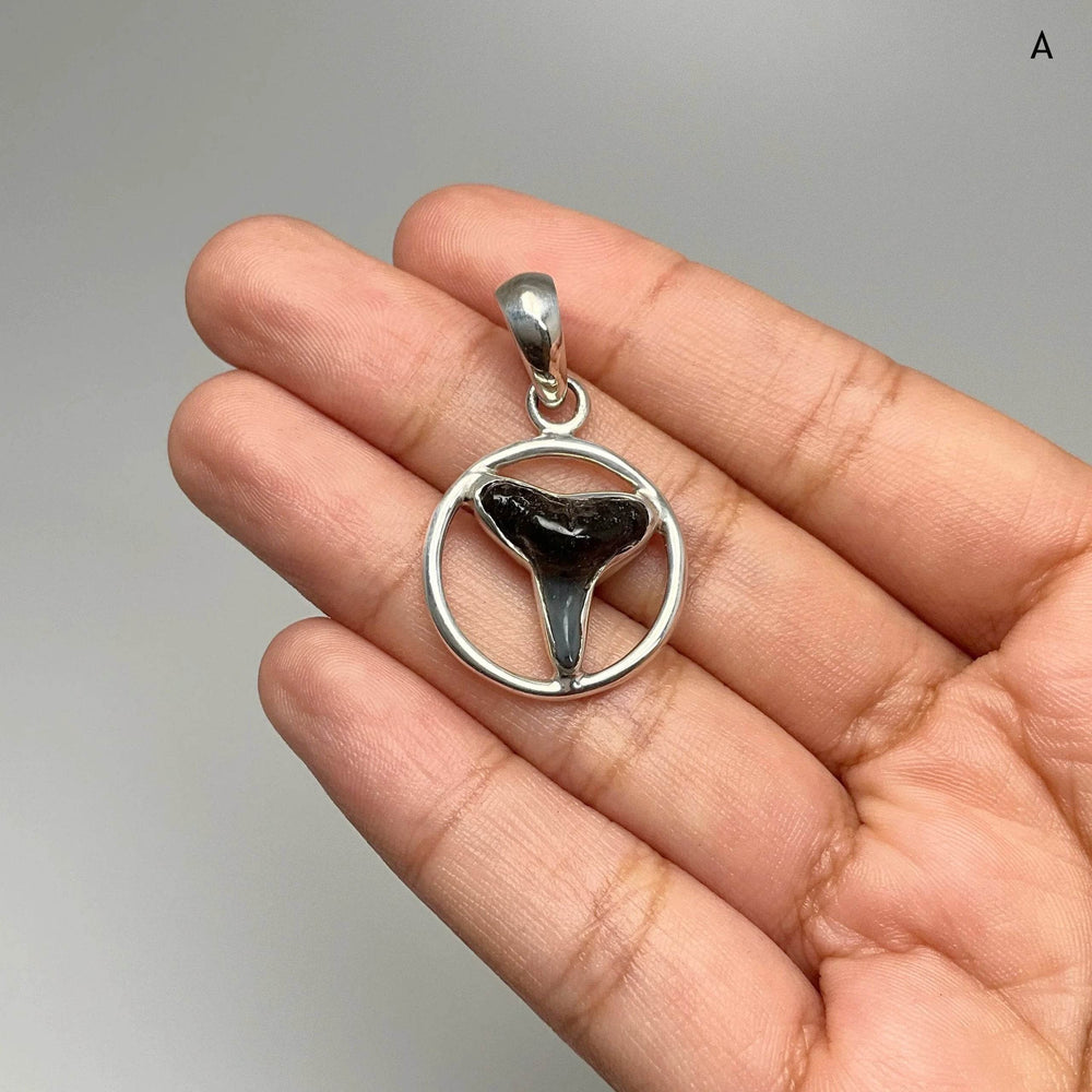 Fossilized Shark Tooth Pendant-Rocks and Gems Canada