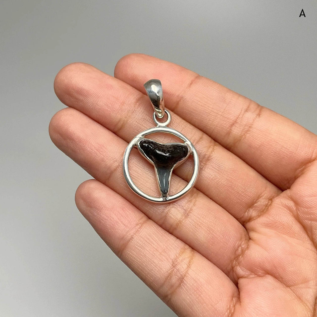 Fossilized Shark Tooth Pendant-Rocks and Gems Canada
