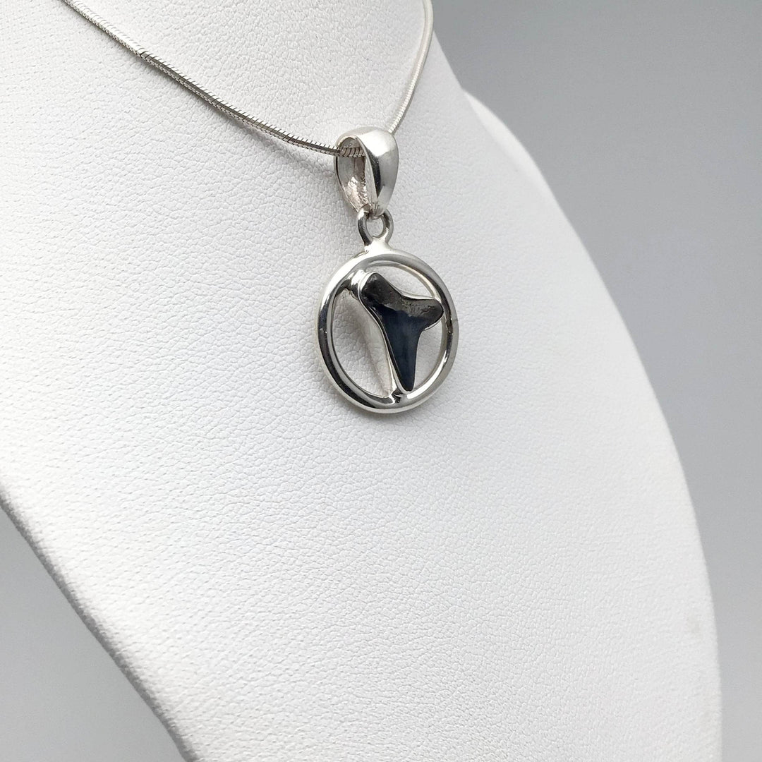 Fossilized Shark Tooth Pendant-Rocks and Gems Canada