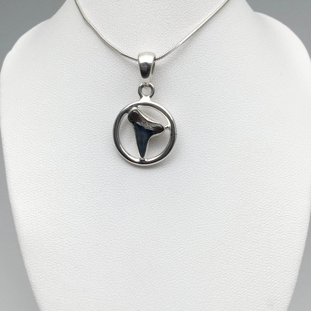 Fossilized Shark Tooth Pendant-Rocks and Gems Canada