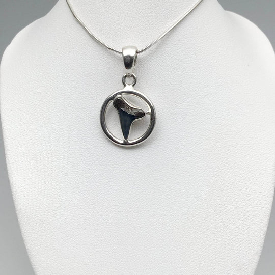 Fossilized Shark Tooth Pendant-Rocks and Gems Canada