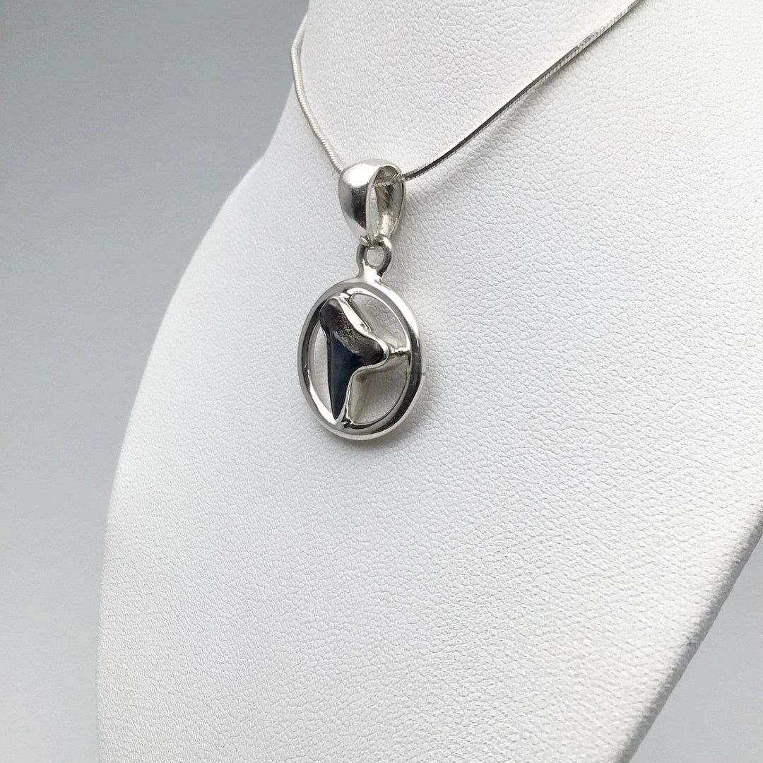 Fossilized Shark Tooth Pendant-Rocks and Gems Canada