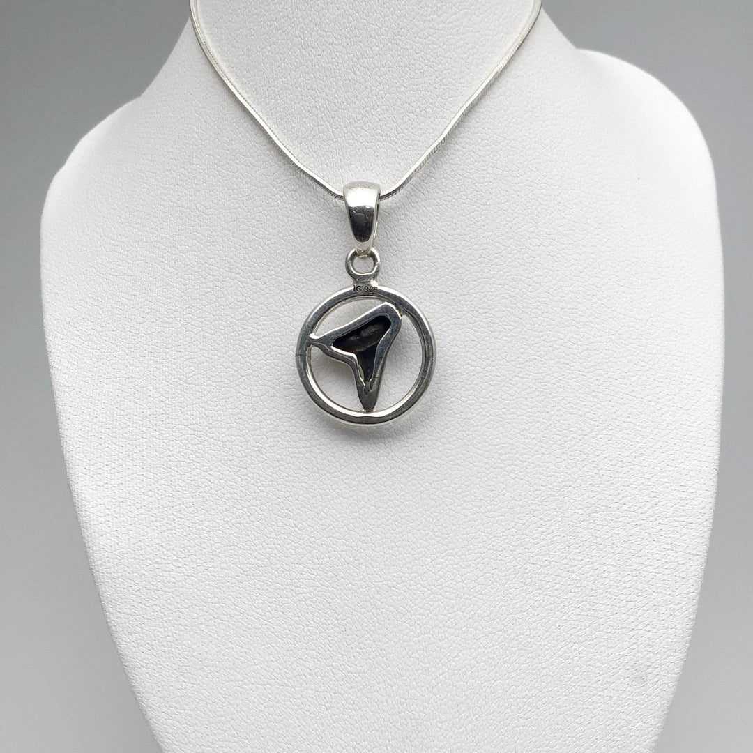 Fossilized Shark Tooth Pendant-Rocks and Gems Canada