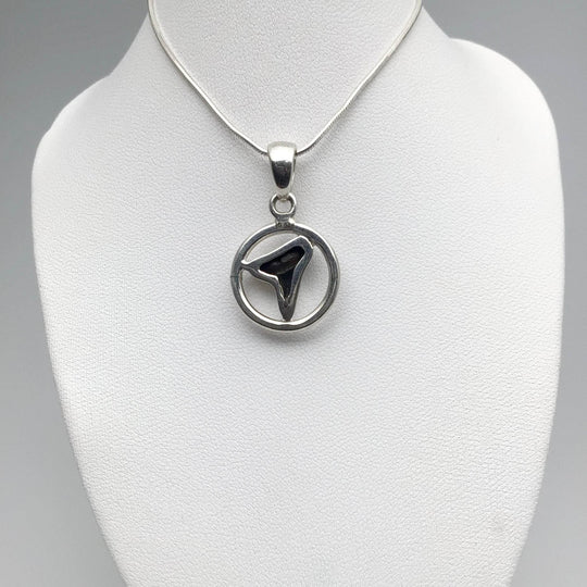 Fossilized Shark Tooth Pendant-Rocks and Gems Canada
