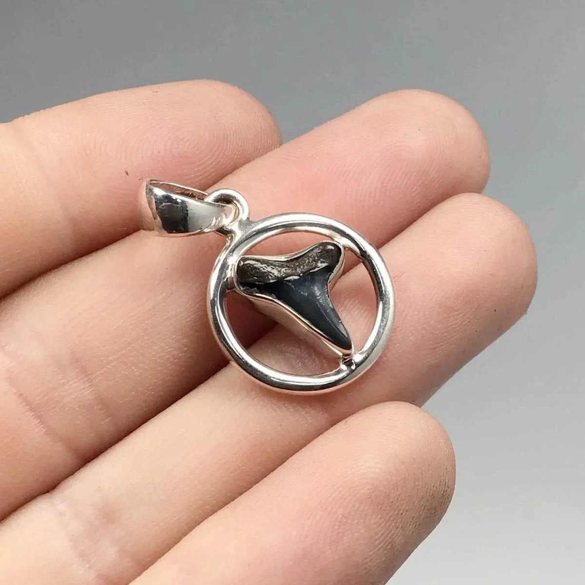 Fossilized Shark Tooth Pendant-Rocks and Gems Canada