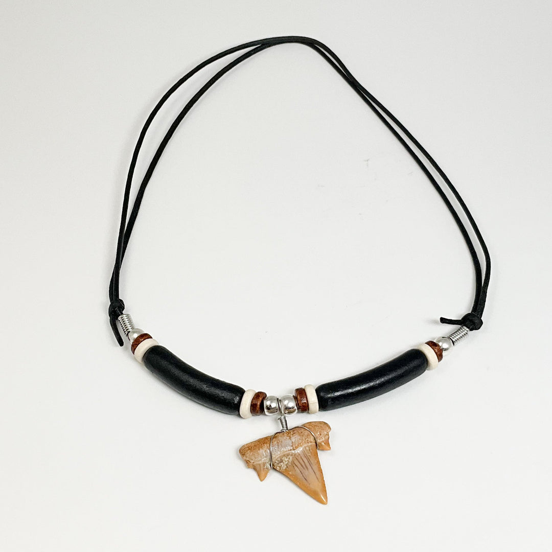 Fossilized Shark Tooth Necklace - Rocks and Gems Canada
