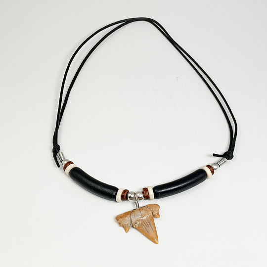 Fossilized Shark Tooth Necklace - Rocks and Gems Canada