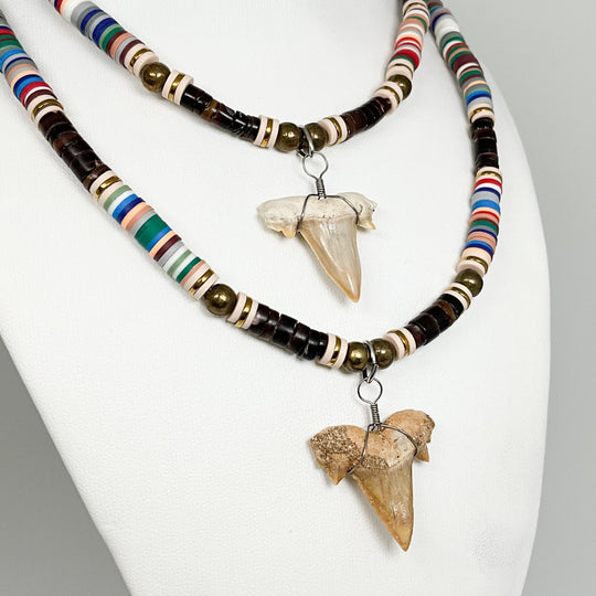 Fossilized Shark Tooth Necklace - Rocks and Gems Canada