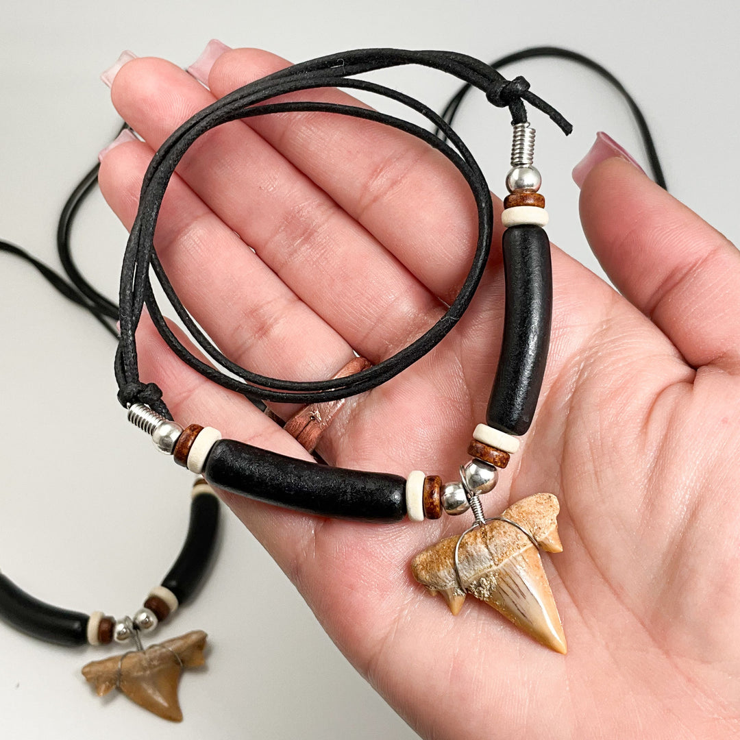Fossilized Shark Tooth Necklace - Rocks and Gems Canada