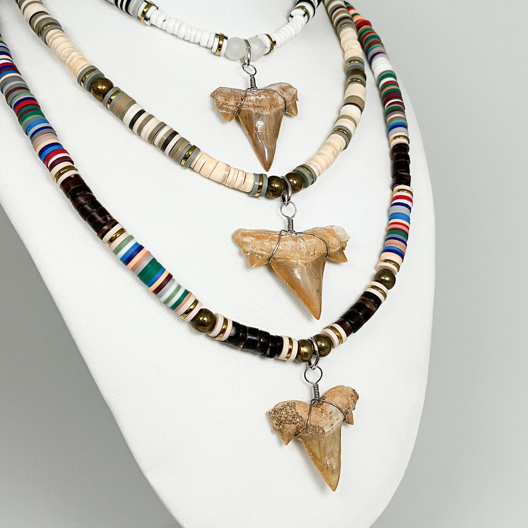 Fossilized Shark Tooth Necklace - Rocks and Gems Canada