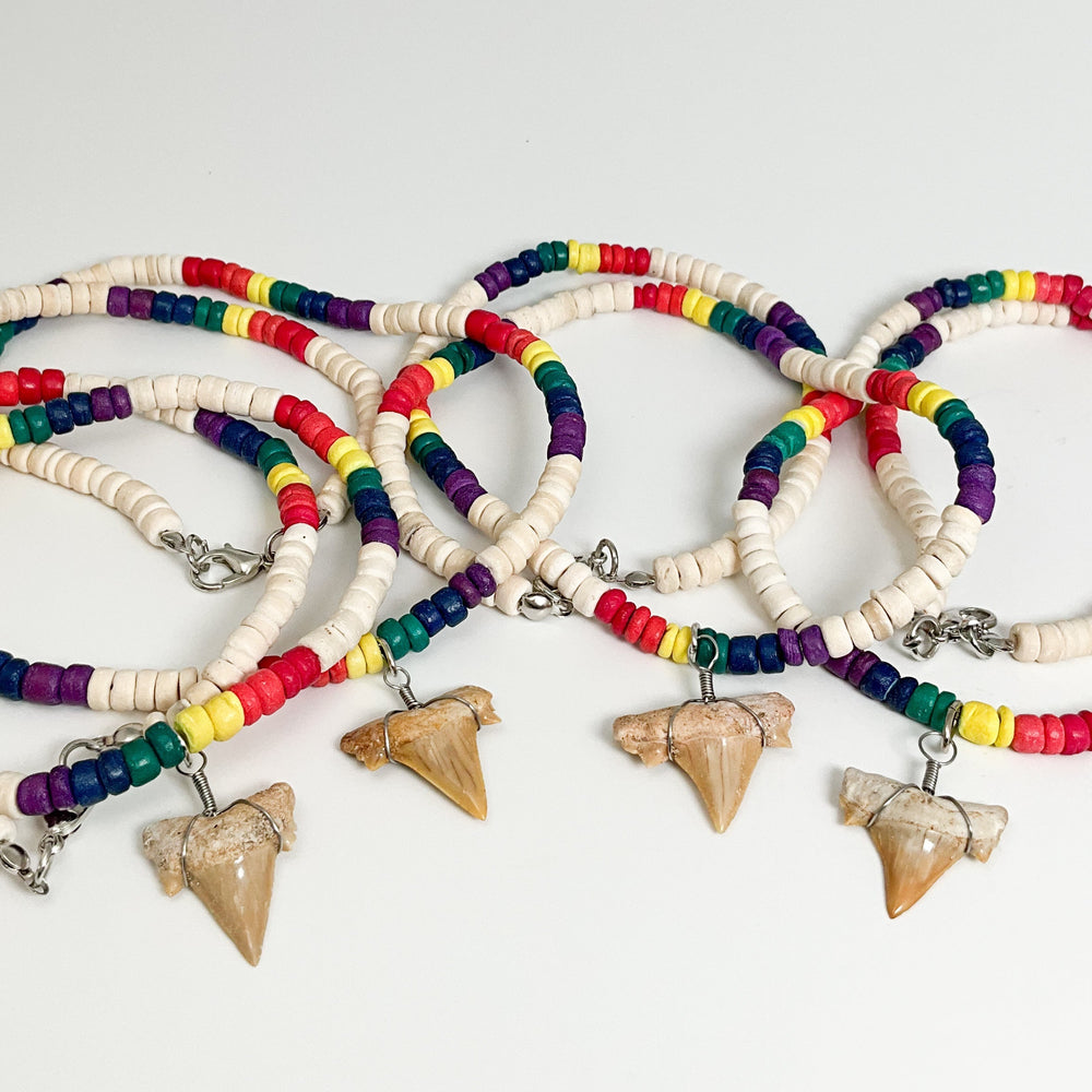 Fossilized Shark Tooth Necklace - Rocks and Gems Canada