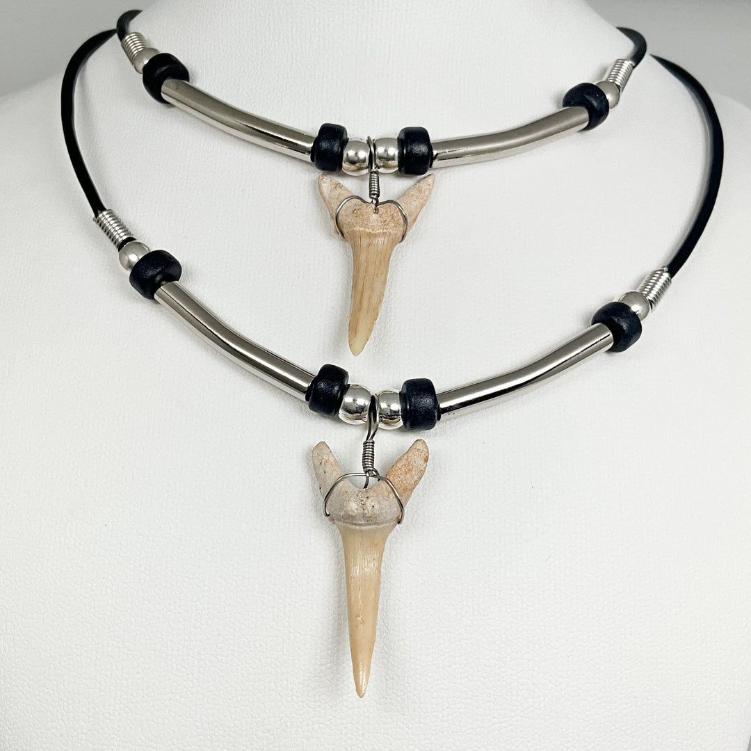 Fossilized Shark Tooth Necklace - Rocks and Gems Canada