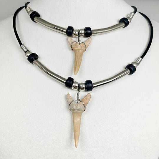Fossilized Shark Tooth Necklace - Rocks and Gems Canada