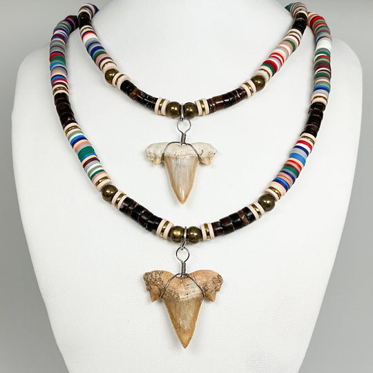 Fossilized Shark Tooth Necklace - Rocks and Gems Canada