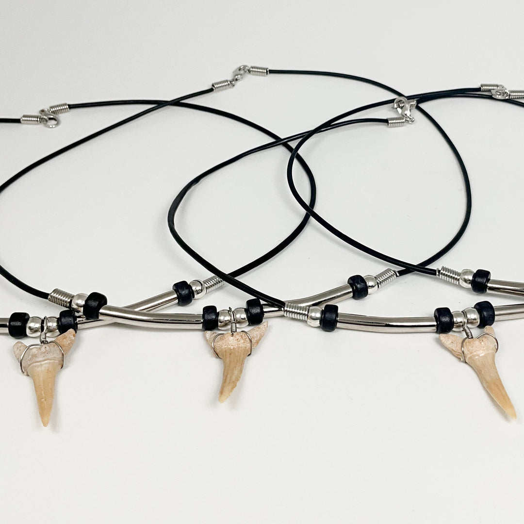 Fossilized Shark Tooth Necklace - Rocks and Gems Canada