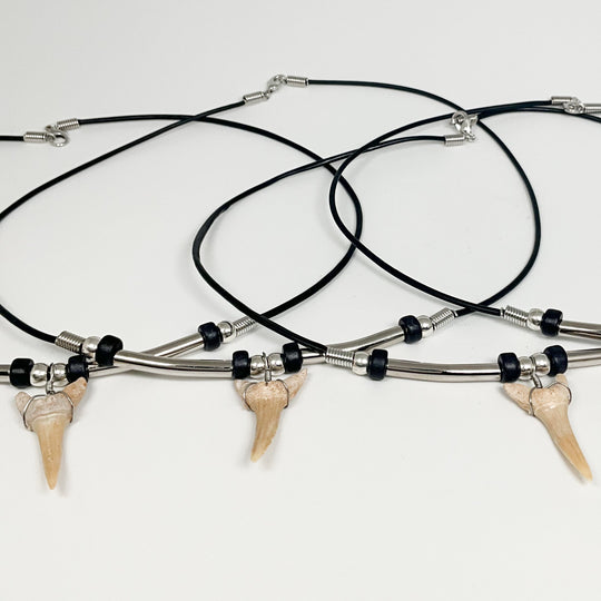 Fossilized Shark Tooth Necklace - Rocks and Gems Canada