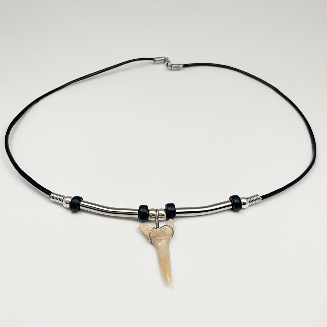Fossilized Shark Tooth Necklace - Rocks and Gems Canada
