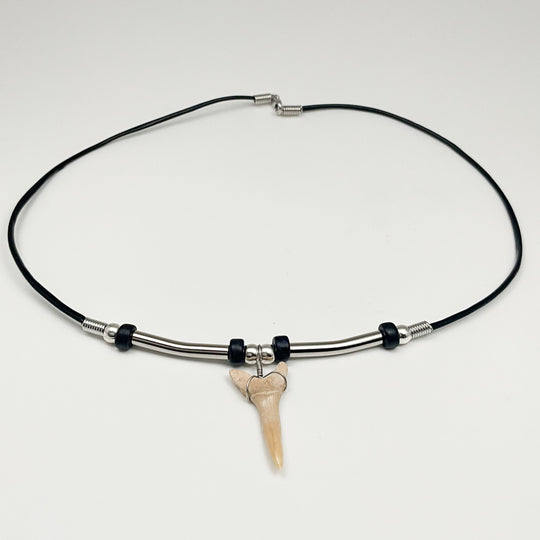 Fossilized Shark Tooth Necklace - Rocks and Gems Canada
