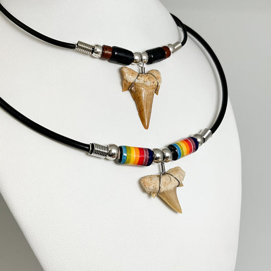 Fossilized Shark Tooth Necklace - Rocks and Gems Canada