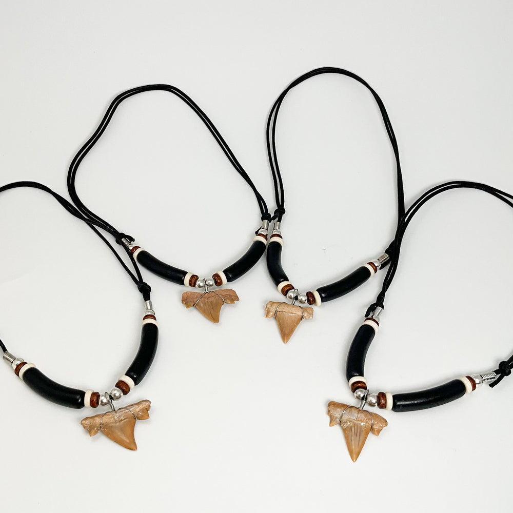 Fossilized Shark Tooth Necklace - Rocks and Gems Canada