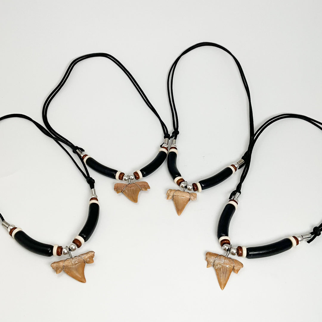 Fossilized Shark Tooth Necklace - Rocks and Gems Canada