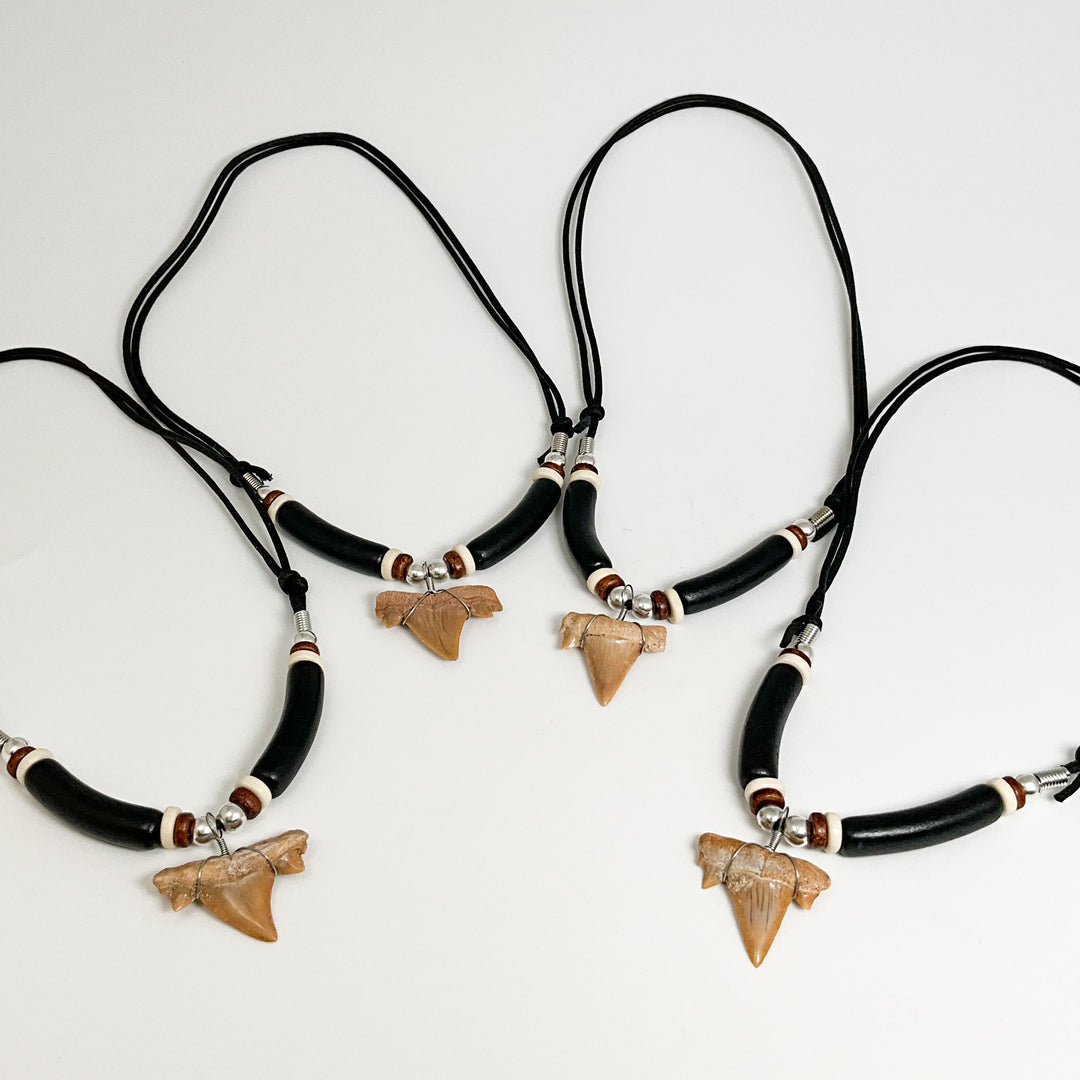 Fossilized Shark Tooth Necklace - Rocks and Gems Canada