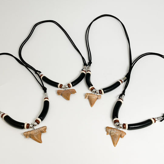 Fossilized Shark Tooth Necklace - Rocks and Gems Canada