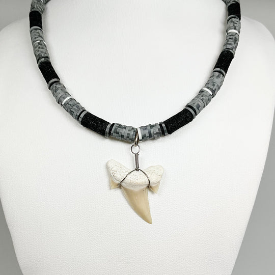 Fossilized Shark Tooth Necklace - Rocks and Gems Canada