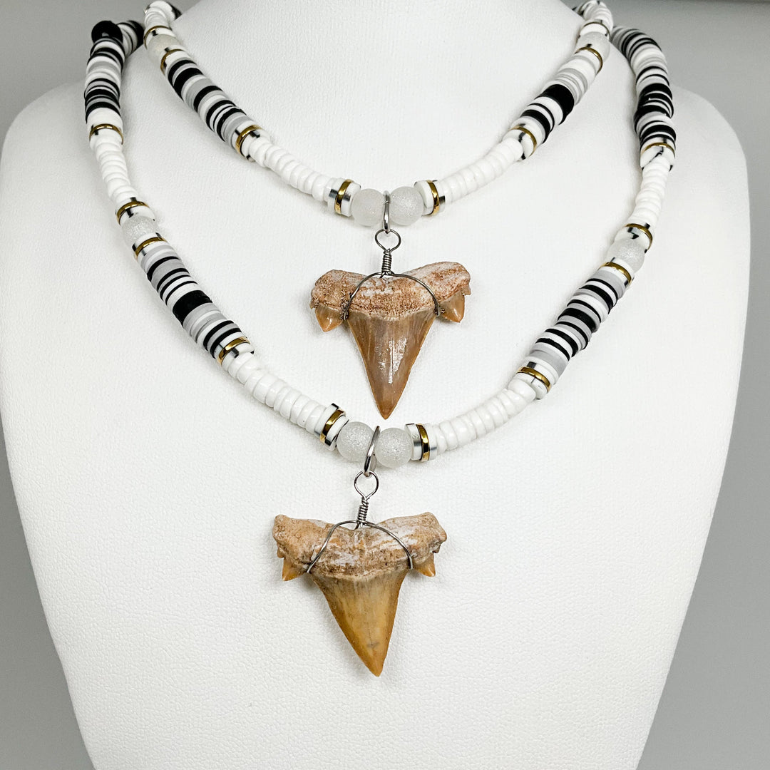 Fossilized Shark Tooth Necklace - Rocks and Gems Canada