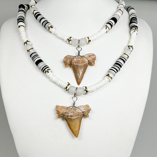 Fossilized Shark Tooth Necklace - Rocks and Gems Canada
