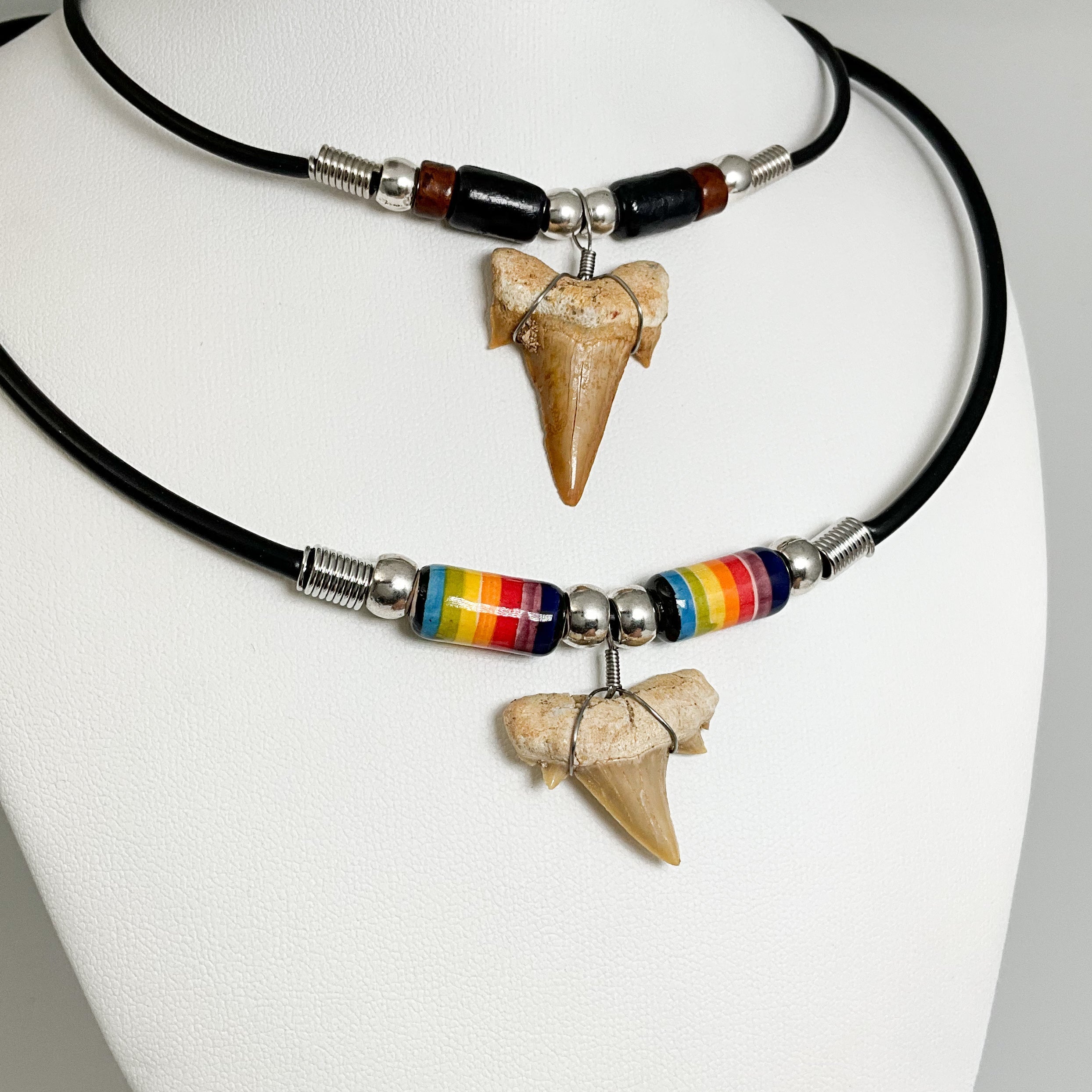 Fossilized Shark Tooth Necklace - Rocks and Gems Canada