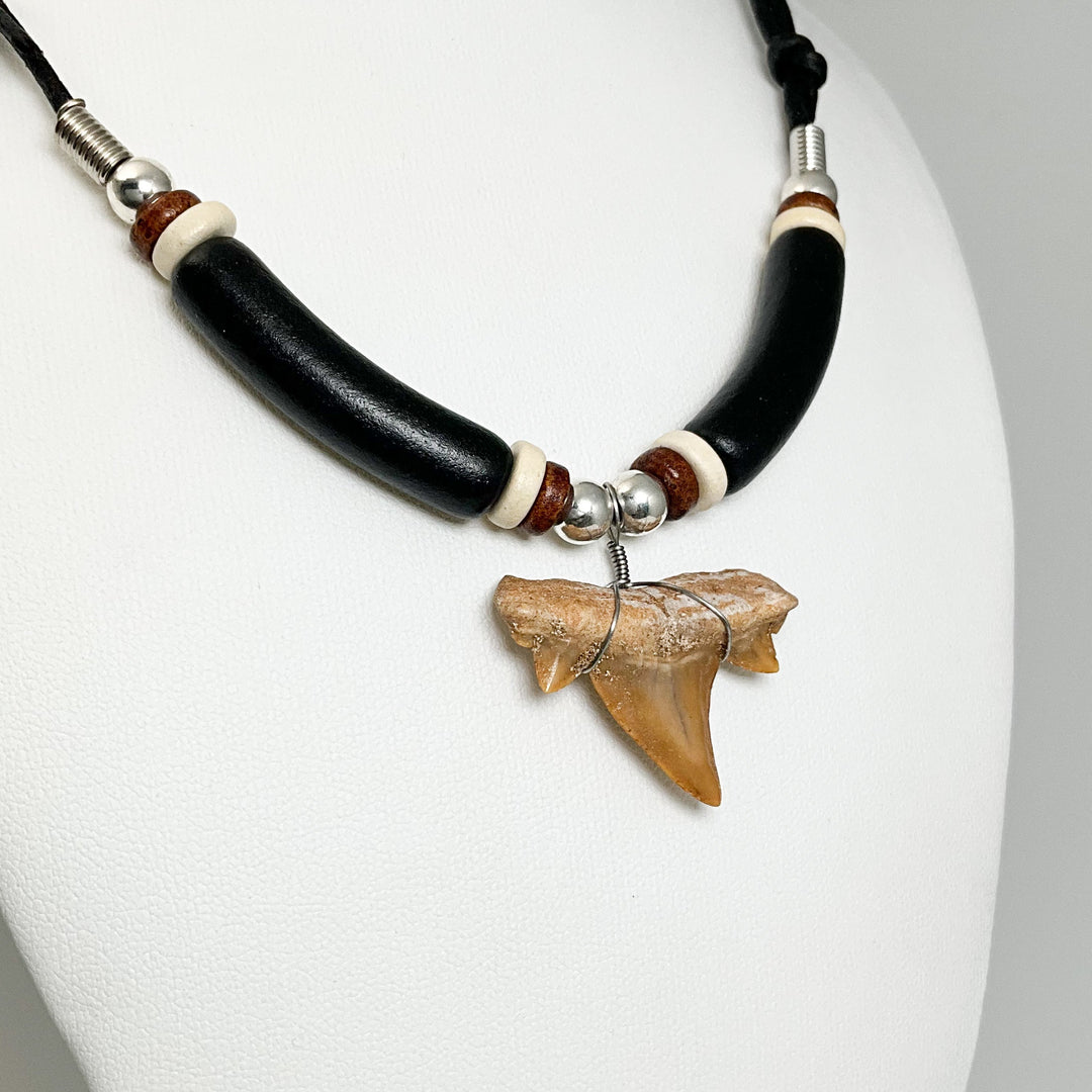 Fossilized Shark Tooth Necklace - Rocks and Gems Canada