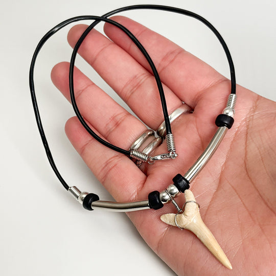 Fossilized Shark Tooth Necklace - Rocks and Gems Canada