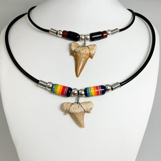 Fossilized Shark Tooth Necklace - Rocks and Gems Canada