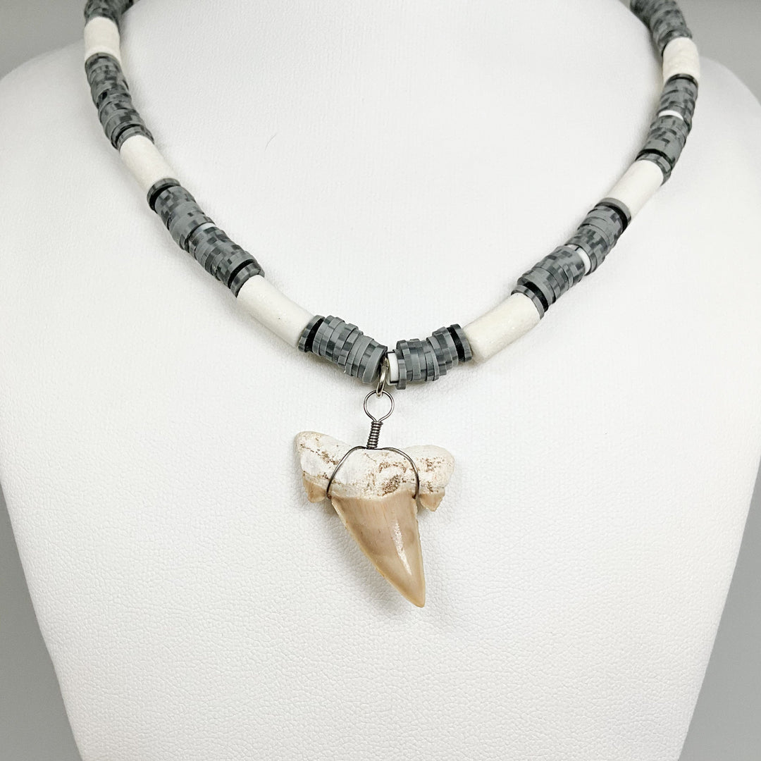 Fossilized Shark Tooth Necklace - Rocks and Gems Canada