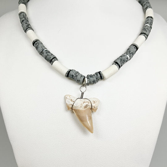 Fossilized Shark Tooth Necklace - Rocks and Gems Canada